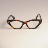 Ladybug Optical Eyewear Brown Frames