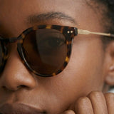 The Solstice Duo Amber Ray Sunglasses