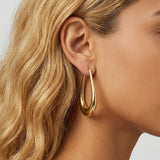 Stainless Steel Gold Oval Hoops